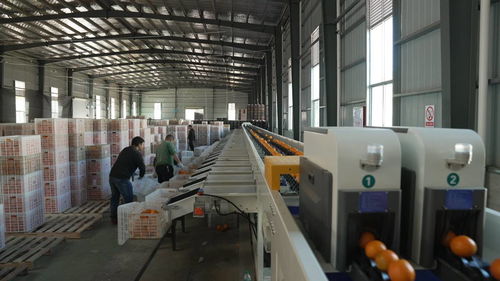 菜鳥物流科技下鄉，助力尋烏農產品進城與快遞進村，自動化與生物化工技術研發再上新階