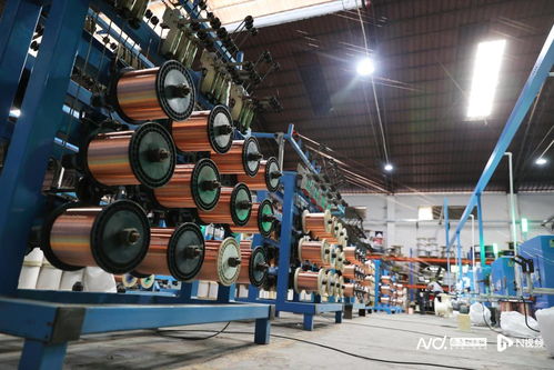 背靠東莞制造，虎門生物化工產品技術研發如何跑向全國