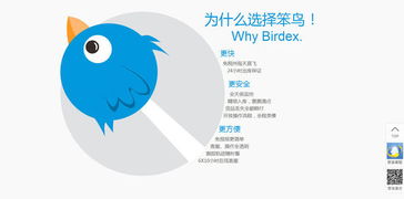 笨鳥海淘 把轉運物流打到極致,做海淘供應鏈市場的先飛笨鳥