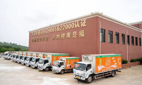 廣東羅定天溪冷鏈物流產(chǎn)地倉(cāng)一期項(xiàng)目正式動(dòng)工，助力海淘物流升級(jí)